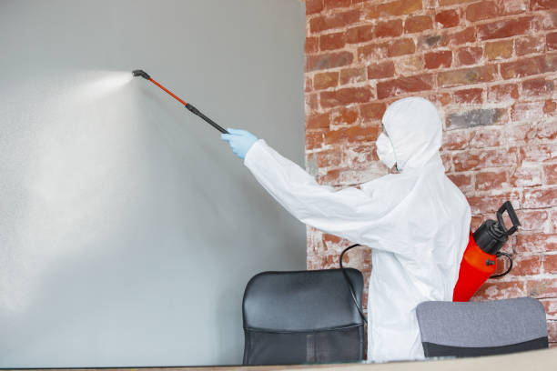 Best Mold Removal for HVAC Installations  in Lakes East, CT