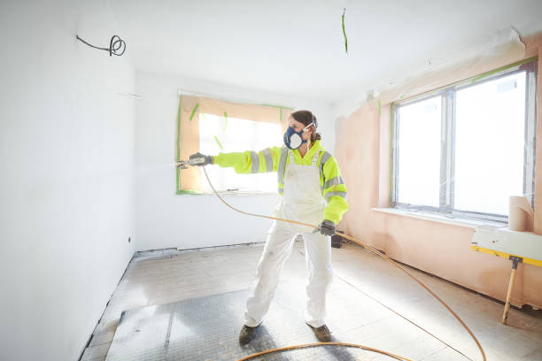 Best Mold Damage Restoration  in Lakes East, CT
