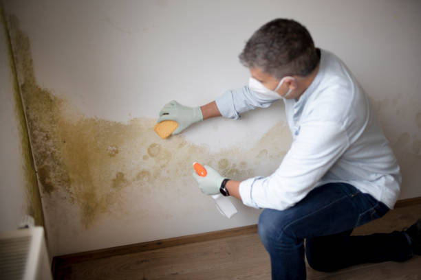 Best Asbestos and Lead Testing During Mold Inspection  in Lakes East, CT