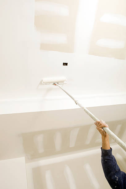 Best Mold Odor Removal Services  in Lakes East, CT