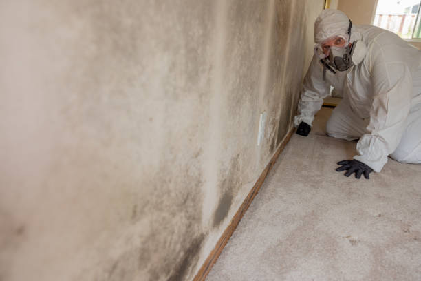 Best Asbestos and Lead Testing During Mold Inspection  in Lakes East, CT